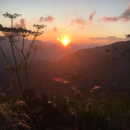 فندق Holzgauer Haus