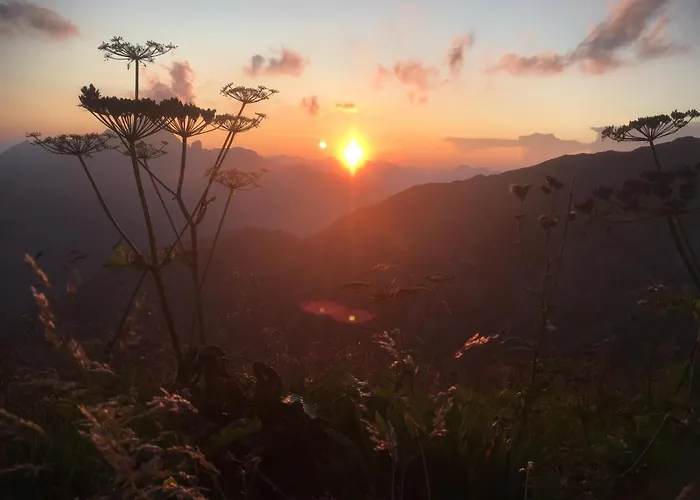 Hotel Holzgauer Haus